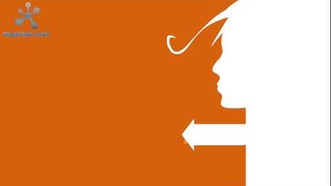 Show Reel Flash 2007