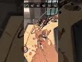 今このチャンネルで一番バズっている動画を逆再生すると... #splatoon3 #サイドオーダー #shorts