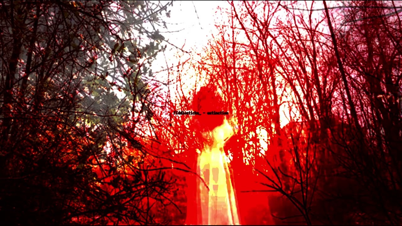 Watch Fiddlesticks_ - extinction on YouTube Watch Fiddlesticks_ - extinction on YouTube