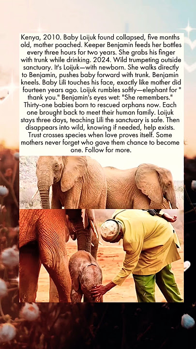 Kenta,2010. Baby Loijuk