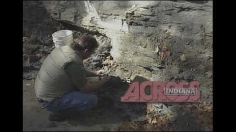 Crinoid Fossils | Classic Across Indiana