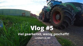 Vlog #5 Viel gearbeitet, wenig geschafft.