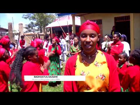 Dookimantarii Jala Bultii Ayyaana Masqalaa OBNfi Aanaan Warra Jaarsoo Qopheessan