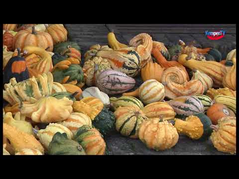 2017-oktober-Pompoendagen-Vessem
