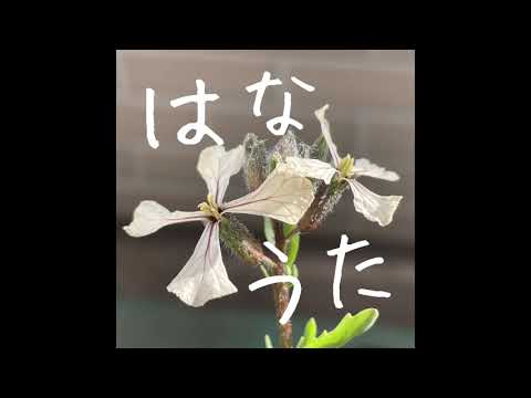 U-ボート/大塚愛