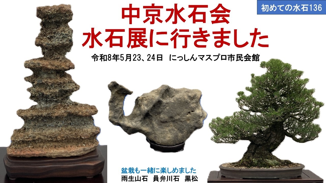初めての水石136 中京水石会水石展に行きました - YouTube