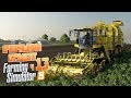 Farming Simulator 19 ч13 - Самое большое дело студента Полольник с сюрпризом