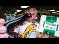 UNBOXING A GIANT AFRICAN MILLIPEDE!! YIKES!! | BRIAN BARCZYK