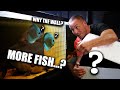 I was NOT planning on buying these fish!!