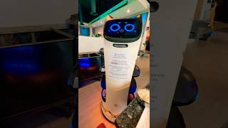 Bellabot Robot Server At Korean Bbq Restaurant Road To Seoul, Alhambra, California, Usa
