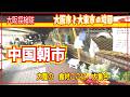 【中国朝市】本物中国市場が大阪に！「大陸の　食材ここに　大集合」大阪市と大東市の境目