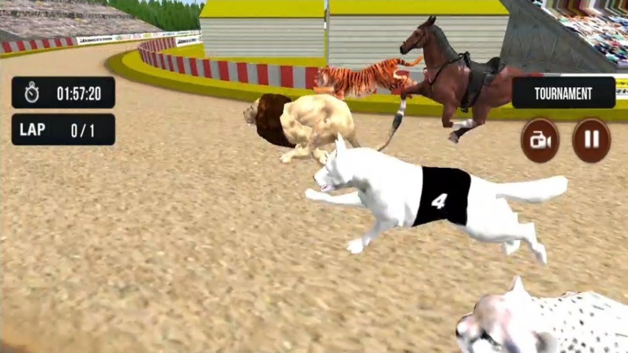 Wild Lion Racing Fever : Animal Race PART #10 | Lion Hunt animals Game Android gameplay #2022