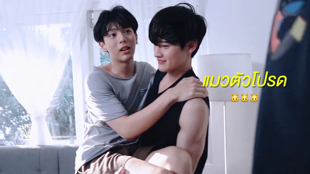 [ KaoUp ] แมวตัวโปรด - เก้าอัพ | 