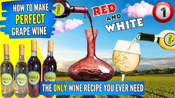 How To Make Wine From Grapes - The Only Wine Recipe You Will Ever Need - Fermentation - PART 1