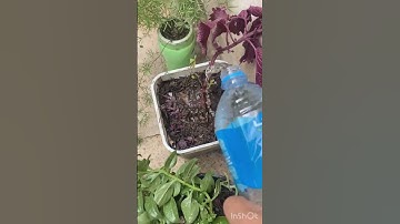 أكثروا من الصلاه علي النبي وقراءة سوره الكهف يوم الجمعه