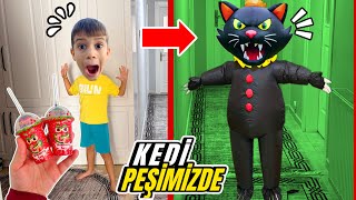 EYVAH EMİR DEV CARTOON CAT EVİMİZE GİRDİ ŞEKERLERİ ALDI ‼️ @elifsinemtv @TroomTroom 