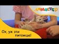 Ох, уж эти питомцы! | ЛоМастер