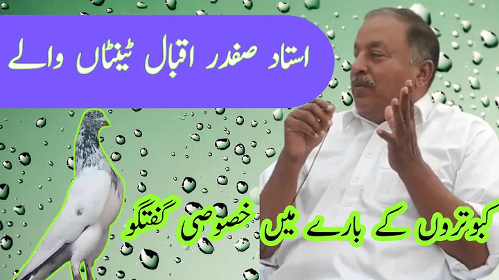Kabootar Baaz | Ustad Safdar Iqbal Tentanwala ka i...