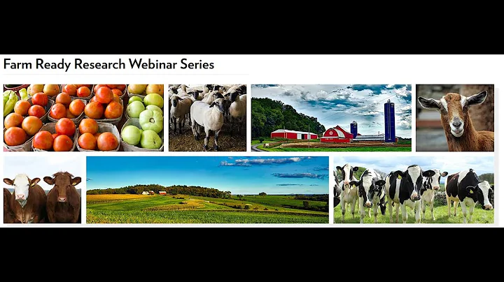 Management of Newly Weaned Calves In The Feedlot