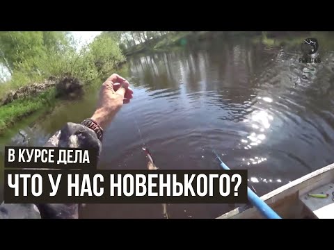 Что у нас новенького? // В курсе дела