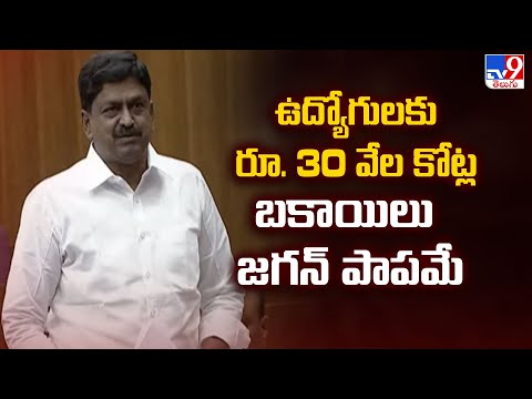 AP Legislative Council : ఉద్యోగులకు రూ. 30 వేల కోట్ల బకాయిలు జగన్ పాపమే : Payyavula Keshav - TV9 - TV9