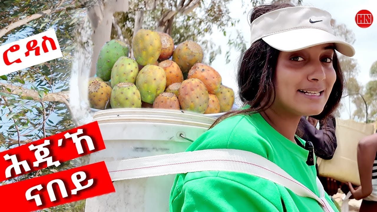 ህድሞና - ሕጂኸ ናበይ - ሮዳስ ምስ ገረወይንኣ ናበይ ሎሚከ? | Rodas Mengs - New Eritrean Video 2025