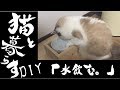 【猫と暮らすDIY】猫が水をこぼしてしまう！ホームセンターの木材で何とかしてみました。