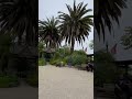 ИНДИЯ - БЕСПЛАТНО ! :) ...