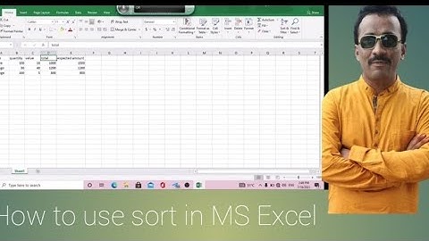 how to use sort in MS Excel visually impaired and others