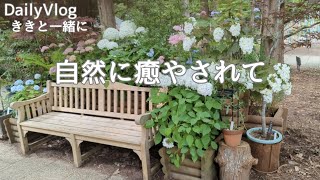 【シニアの暮らしVlog】七夕の願い♡植物園と紫陽花♡森林浴♡ローソンとミセスのコラボ♡ポンデケージョ♡牧場のソフトクリーム♡睡眠障害♡エアコンクリーニング♡シニアライフ