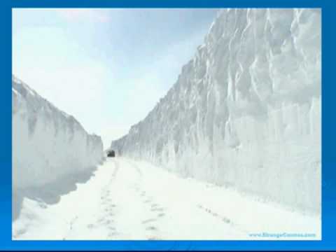 Bad Snow Storm Bad Snow Storm