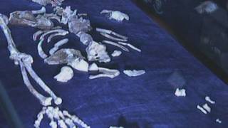 The 'missing link' - scientists discover our 'earliest' ancestors