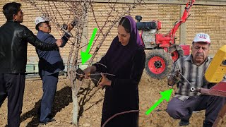 The kindness of the engineer in renovating the garden's agricultural equipment