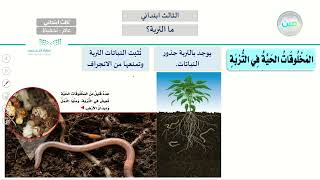 ما التربة؟ - العلوم - ثالث ابتدائي