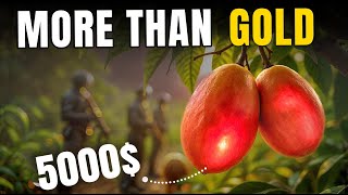 How to Grow Your Own $5000 Fruit: A Miyazaki Mango Farmer's Guide