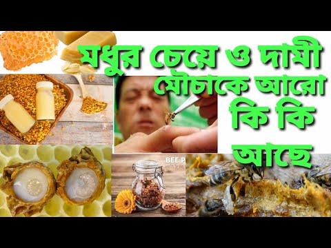 ভিডিও: আপনার কি মৌমাছির পরাগ খাওয়া উচিত?