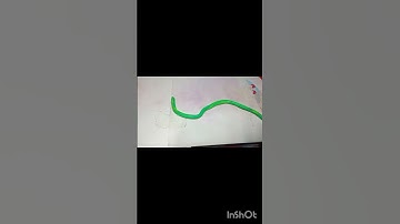 Smooth Soft & Clay#stopmotionanimation #animationtechnique #clayanimation #stopmotion #animation