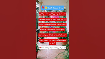 فوائد سورة الملك 🕌❤️#قرآن #اكسبلور #استوريات #اقنباسات #معلومات #لايك