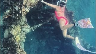 Freediving Shipwreck​ From​ ​Coron​ Palawan