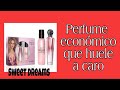 Perfume económico que huele a caro: Sweet Dreams by Shakira