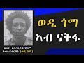 Emn      eritrean media network