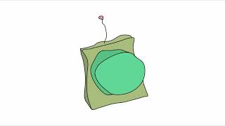 I made a Gravity Button from WICK EDITOR