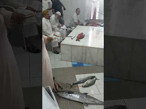 ناجل الحر فخر من الاخر