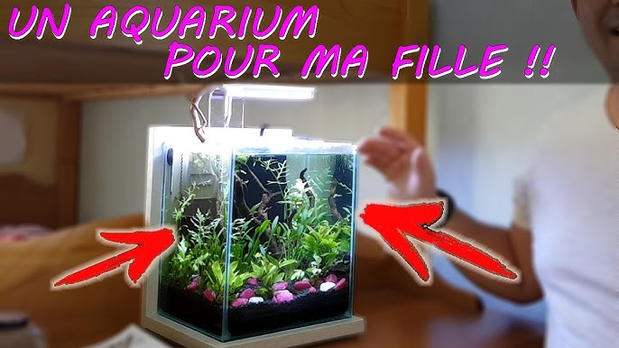 Le tuto minute : mon premier aquarium 
