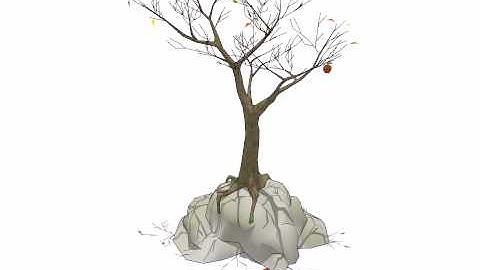 From a little circle, grows a tree...