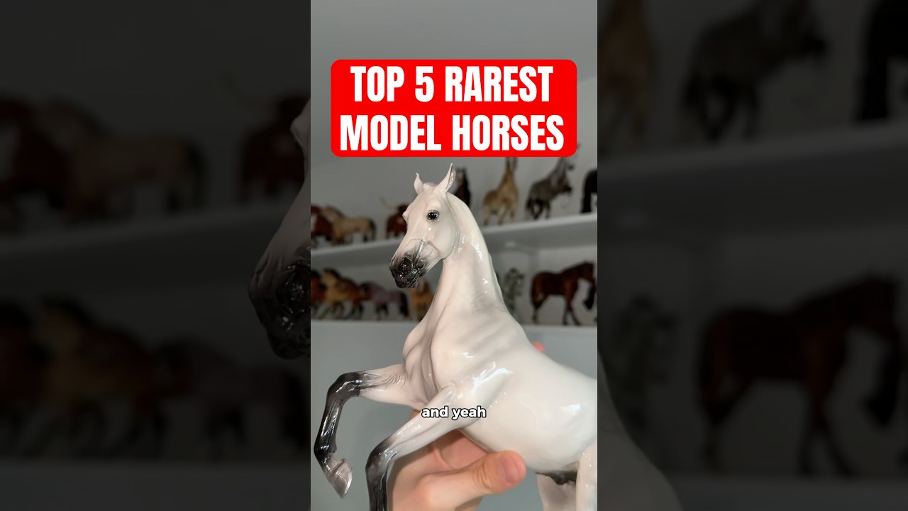 My Top 5 Rarest Model Horses! 