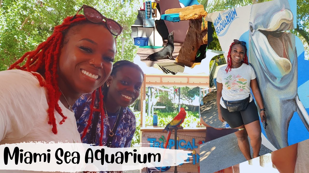 VACATION!! Miami Sea Aquarium || WE MET A MOVIE CELEBRITY || Miami Vacation Vlog