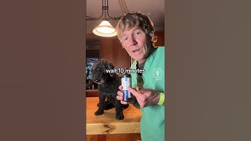 Your Dog has consumed a poison  do this!