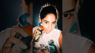 #bollywood #song #baby #parrot