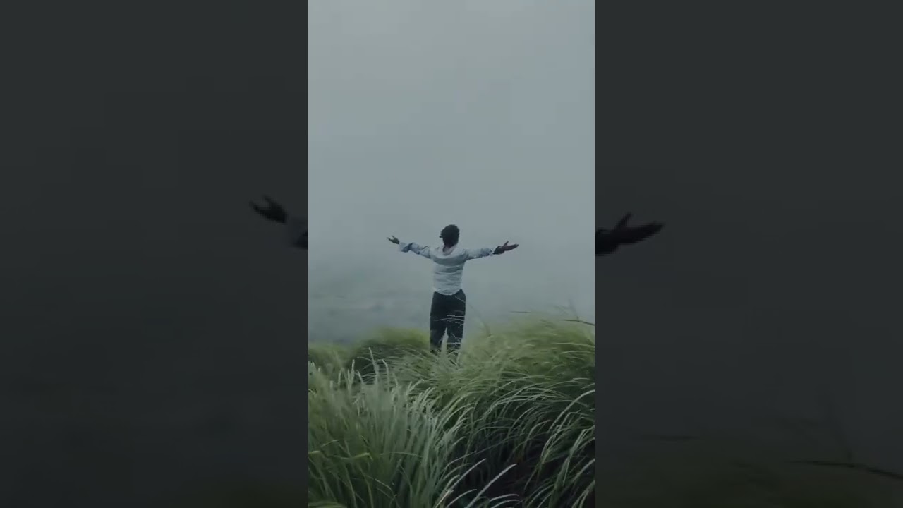 Taazi taazi hawa 💔🥀❣️ 